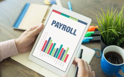How to Choose Payroll Software for Your Crystal Lake Small Business